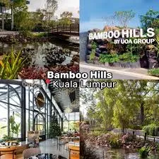 bamboo hills Malaysia