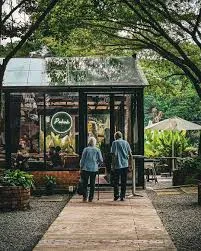 Pokok KL Cafe Malaysia